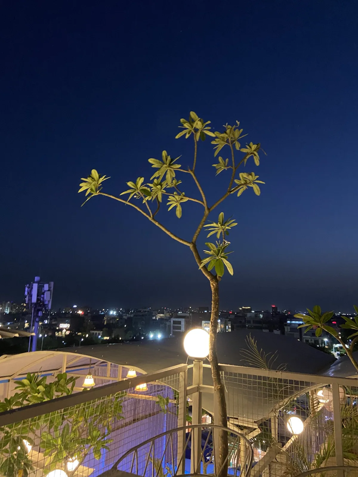 Chairish Cafe rooftop and cafe photo 13 in Malviya Nagar Jaipur